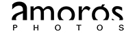 logo Amorós